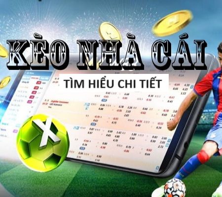 Cá Cược World Cup Chuyên Nghiệp – Dịch Vụ Premium